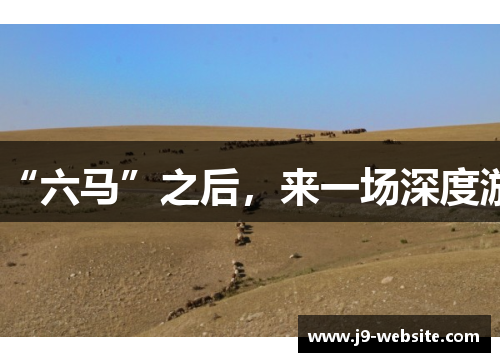 “六马”之后，来一场深度游