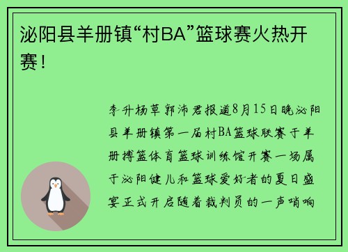 泌阳县羊册镇“村BA”篮球赛火热开赛！